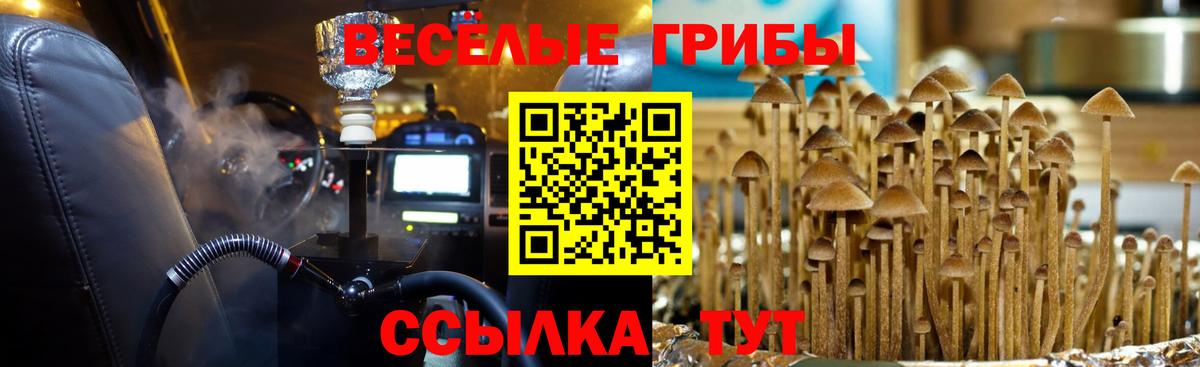 Вольск  Псилоцибиновые грибы Magic Shrooms  Вход с VPN 